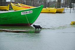 DSC_3821.JPG