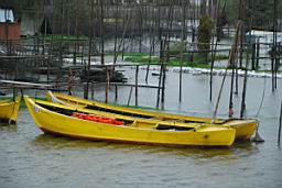 DSC_3827.JPG